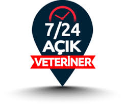 Antalya'da 7/24 Açık Nöbetçi ve Pazar Günü Hizmet Veren Veteriner Kliniği